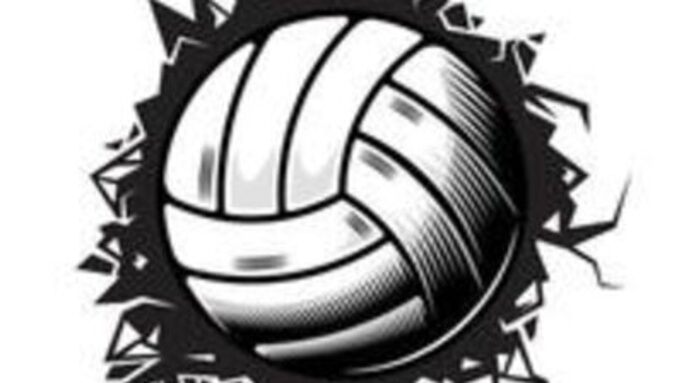 15324928-mur-fissure-de-volley-ball-logos-ou-icones-de-conception-graphique-de-club-de-volley-ball-illustrationle-vectoriel.jpg