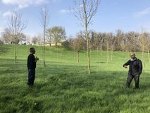 Galerie photo première parcelle exploitée en agroforesterie sur la ferme